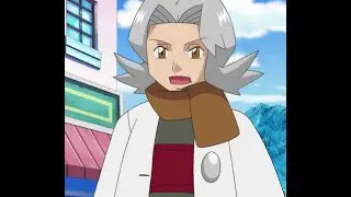 Pokemon Pearl Elite Four Ground