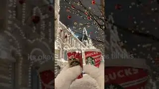 ITS OKAY DIVA 4 MINTHS TILL CHRISTMAS | #goviral #fypシ゚viral #viral #4monthstillchristmas #santa #au