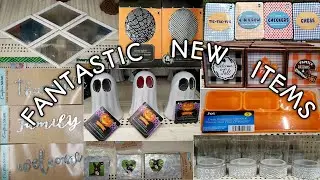 COME WITH ME TO 2 DOLLAR TREES | FANTASTIC NEW FINDS