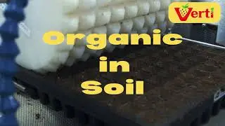 Verti - Organic Vertical Farming done Indoors!!