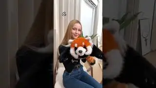 Моя десятка🥹#chongker #cat #cutecat #robotanimal #catbag