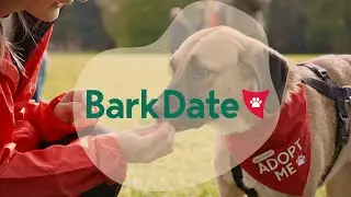 THIS IS BARK DATE - Das erste Liveevent f&uuml;r Hunde aus dem Tierschutz, die ein Zuhause suchen.