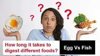 Which Food Gets Easily Digested | Eggs Vs Fish | HelloDox