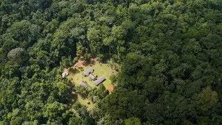 Hidden Jungle Retreat - Amazon Jungle Aerial | Stock Footage - Videohive