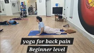 Beginner level strong spine flow - Thereupetic yoga for back pain and weak spine