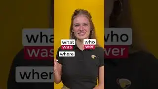 Useful German question words 🤔