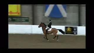 Robert Murphy and Lightning TW Morris Equestrian Centre Under 25 Qualifier first round 20112022