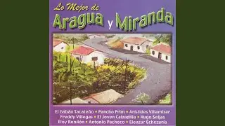 Ag&uuml;ita de Coco