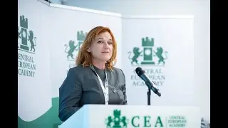N. Ž. Kovačević - Tax Dispute Resolution Mechanisms - Do We Need Alternative Mechanisms
