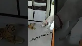 Max Reaction On Seeing Tiger | Max Saw A Tiger😮😱🐯 | Max Funny Video | Max The Labrador |