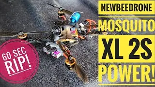 Newbeedrone Mosquito XL maiden  |  (60 sec rip)