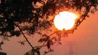 Melakartha Raga  Gouri Manohari .wmv
