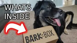 BARKBOX APRIL 2020 UNBOXING - My dogs reactions of their first BarkBox. TOY REVIEW! Dogs Decide!