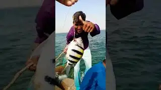 china port 🎣 fishing