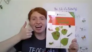 Story Time with Miss Rebecca (Wed/Thurs):  