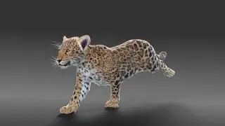 CGI 3D Animated Animal in Blender | Running Panthera Onca Baby Showreel