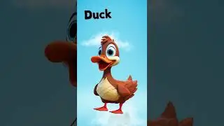 BIRDS  #funlearning #kiddosetv #kidslearning #kidseducation #educationalvideos #earlyeducation