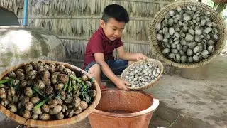 Seyhak try to cook blood cockle and he said yummy / Little boy cook stri-fried blood cockle