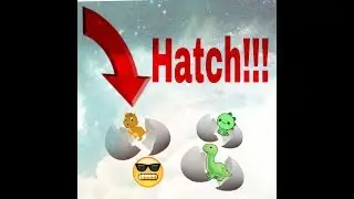 Hatch Dinosaur Eggs And Learn COLORS
