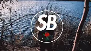 Zonashi - Summer Fling