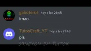 Un d&iacute;a en el Chat de Librecraft | LIBRECRAFT NETWORK DISCORD
