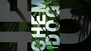 HS&reg; | ChemDog aka ChemDawg - Greg! - Canna Provisions
