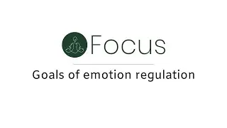 Goals of Emotion Regulation