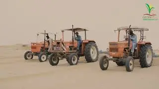 Turning Desert into Green Gold | Rhodes Grass & Alfalfa Farming by Green Impex