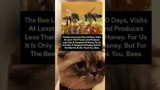 The Bee Lives Less Than 40 Days Visits At Least 1000 Flowers, And Produces