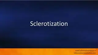Pronunciation of the word(s) 