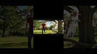 The race was won by Hamster #shortvideo #squirrell #funny #creativity #animals