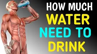 How Much Water Do You Really Need Every Day | Drink Water |