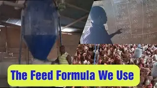 Feed Formula We Use || In Bedak Poultry Farm.