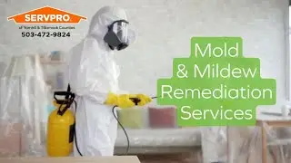Got Mold? Hire Yamhill & Tillamook Counties for Removal & Property Restoration!