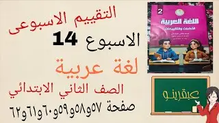  التقييم الاسبوعى الاسبوع الرابع عشر ١٤ عربى الصف الثاني الابتدائي كتاب التقييمات ٥٧و٥٨و٥٩و٦٠و٦١و٦٢ 