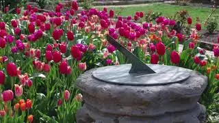 The Sundial Bed
