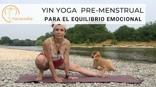 🕉️ YIN YOGA para la fase PRE MENSTRUAL, días de estrés, baja energía o mal humor 😉