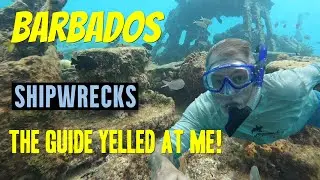 Barbados - Virgin Voyages Shore Thing - Turtles and Shipwreck Cruise in Carlisle Bay