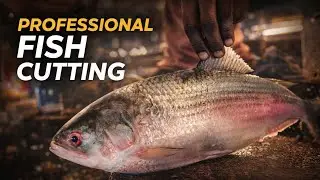 Epic Hilsa Fish Cutting Skills 😱 | Mesmerizing Clean & Satisfying ASMR
