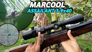 TES HUNTING SCOPE 300 RIBUAN‼️ LANGSUNG PANEN