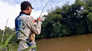 FULL STRIKE !!! MANCING DAPAT BANYAK IKAN HAMPALA SUNGAI BRANTAS BLITAR (04/07/20)