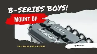 Calling All B-Series BOYS! Why Is It The Best JDM Motor Of All Time??