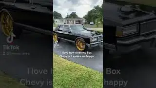 My 1987 Box Chevy Caprice Ls