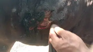 Lumpy skin virus wale zakham kaise thek karen _ Lumpy Skin Virus wound Treatment in cow_azhar turk