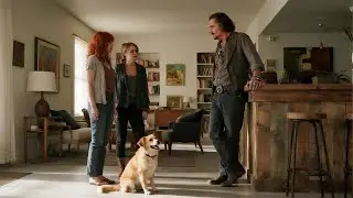 Johnny Depp Finds a Lost Dog &mdash; The Owner's Identity Changes Everything!