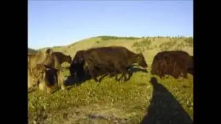 Los &uacute;ltimos n&oacute;madas de &Aacute;sia