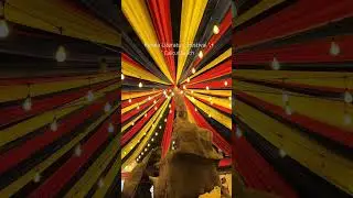 KLF 2026 is Here ✨  #keralaliteraturefestival #calicut #2026 #trending #viral