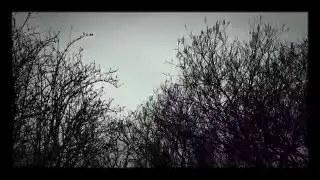 D&eacute;pression Doris : grisaille et vent faible &agrave; mod&eacute;r&eacute;.