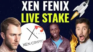 XEN CRYPTO HOW TO STAKE FENIX LIVE