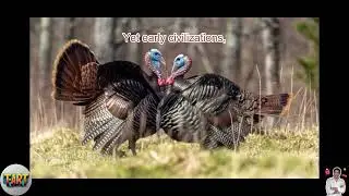Top 5 Amazing Facts and Interesting Knowledge About Animals